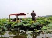 岳阳君山野生荷花世界旅游区旅游攻略 之 游船