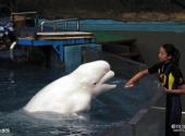 铜陵白暨豚养护场旅游攻略 之 水族馆