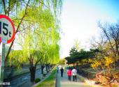 北京蓟门烟树公园旅游攻略 之 护城河堤