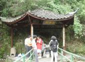 杭州神龙川风景旅游度假区旅游攻略 之 辛夷坞