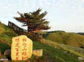 宜昌百里荒高山草原旅游区旅游攻略 之 山楂树之恋