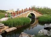 天津临港生态湿地公园旅游攻略 之 小桥
