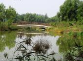 北京奥林匹克森林公园旅游攻略 之 人造湿地