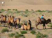 武威沙漠公园旅游攻略 之 跑马赛驼场