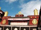 西藏拉萨小昭寺旅游攻略 之 金鹿