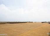 天津港东疆建设开发纪念公园旅游攻略 之 观光木栈道平台