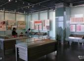 长沙简牍博物馆旅游攻略 之 展厅