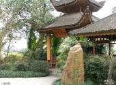 重庆南山植物园旅游攻略 之 蔷薇园