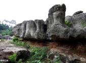 绵阳北川寻龙山景区旅游攻略 之 龙鳞坡石林