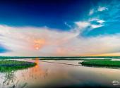 天津古海岸与湿地国家级自然保护区旅游攻略 之 保护区