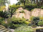 重庆南山植物园旅游攻略 之 郊野公园