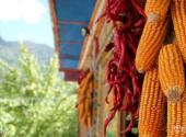 甘孜甲居藏寨旅游攻略 之 民俗