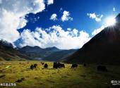 贡嘎山风景名胜区旅游攻略 之 日布交高山草甸