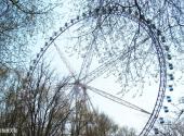 哈尔滨文化公园旅游攻略 之 巨型摩天轮