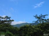 临安柳溪江风景区旅游攻略 之 龙珠山