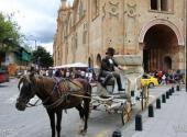 厄瓜多尔昆卡古城旅游攻略 之 观光马车