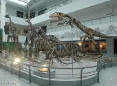 中国地质大学逸夫博物馆校园风光 之 生命起源与进化展厅