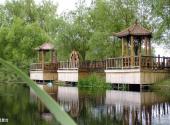 双鸭山安邦河湿地公园旅游攻略 之 观景台