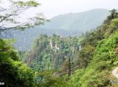 武冈法相岩—云山风景区旅游攻略 之 森林