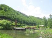 黑龙江凤凰山国家级自然保护区旅游攻略 之 湿地