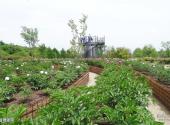 上海辰山植物园旅游攻略 之 植物迷宫