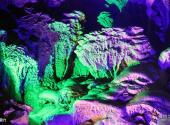 广西凤山岩溶国家地质公园旅游攻略 之 洞穴