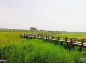 泰来泰湖国家湿地公园旅游攻略 之 观鸟台