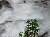 新疆天山天池风景名胜区旅游攻略 之 悬泉飞瀑(东小天池泻水瀑布)