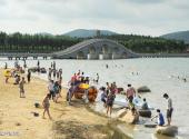 贾汪督公湖旅游区旅游攻略 之 大型沙滩浴场