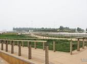 天津港东疆建设开发纪念公园旅游攻略 之 广场