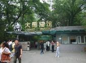 北京动物园旅游攻略 之 大熊猫馆