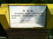 常州青枫公园旅游攻略 之 观光塔介绍