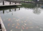 常州荆川公园旅游攻略 之 池塘