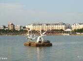 贵港东湖公园旅游攻略 之 天鹅雕塑
