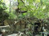 上海复兴公园旅游攻略 之 假山区