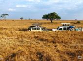 坦桑尼亚塞伦盖蒂国家公园旅游攻略 之 自驾