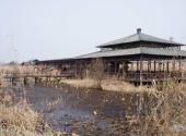 下渚湖国家湿地公园旅游攻略 之 茶社