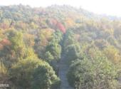 池州大历山风景区旅游攻略 之 自然风光