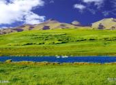 新疆巴音布鲁克天鹅湖旅游攻略 之 高山牧场