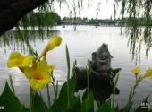 淮安勺湖园风景区旅游攻略 之 勺湖