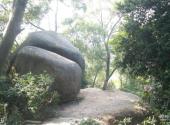 珠海香山公园旅游攻略 之 景石