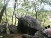 湖南天堂山国家森林公园旅游攻略 之 乌龟石