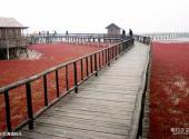 盘锦红海滩风景区旅游攻略 之 红海滩码头
