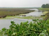 蚌埠闸旅游攻略 之 千亩湿地公园