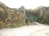 重庆动物园旅游攻略 之 猩猩馆