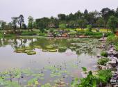 广州海珠湿地公园旅游攻略 之 花溪