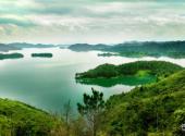 新丰江国家森林公园旅游攻略 之 鳄鱼岛