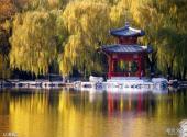 北京紫竹院公园旅游攻略 之 菡萏亭