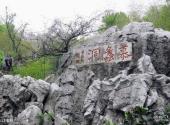 宜兴陶祖圣境风景区旅游攻略 之 石林