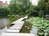 上海永清公园旅游攻略 之 清荷池